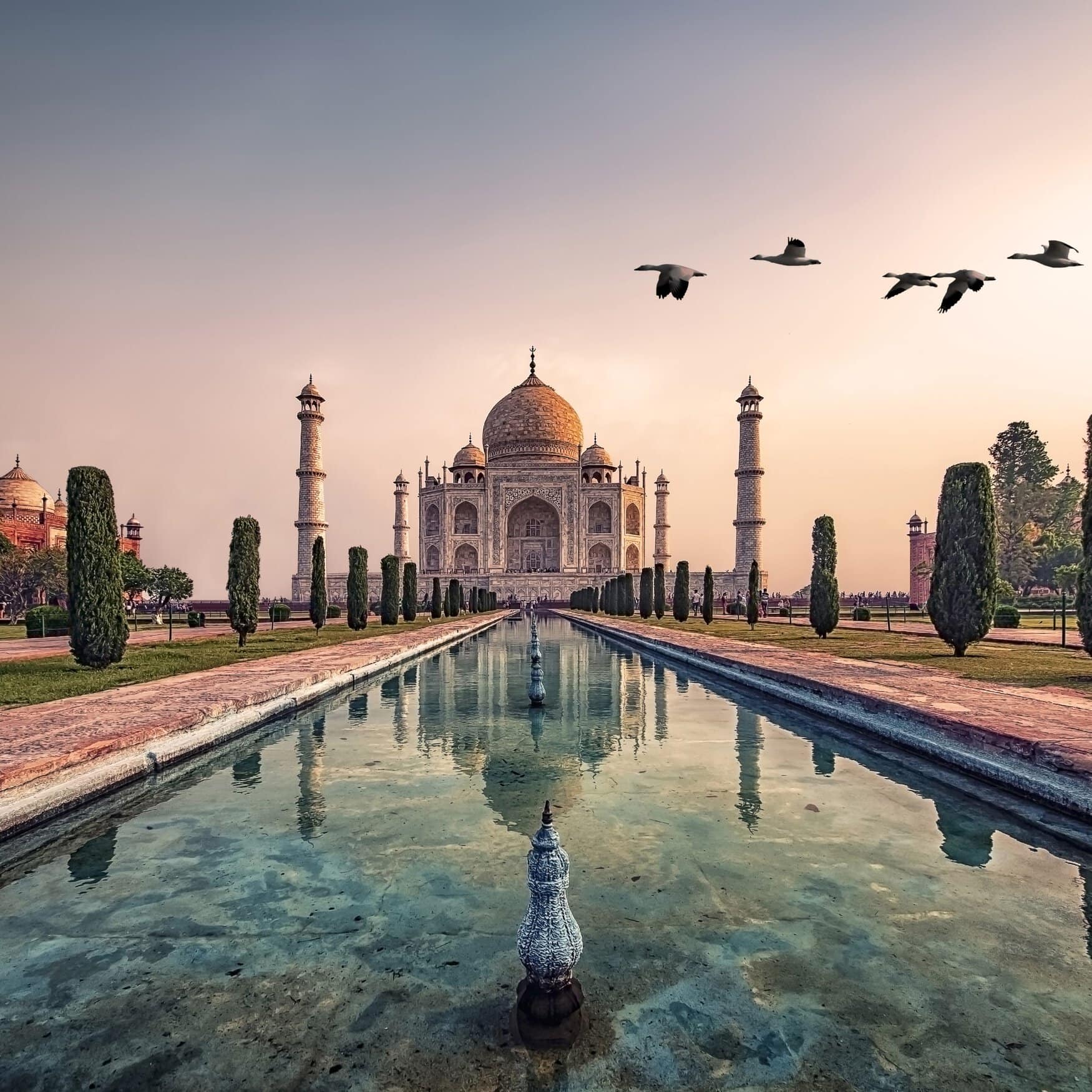 India’s Standing Committee Advocates for Fertilizer Tax Reforms