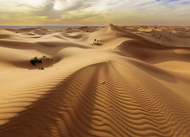 Saudi Investment Recycling Company collaborates with Edama on organic waste and desert farming