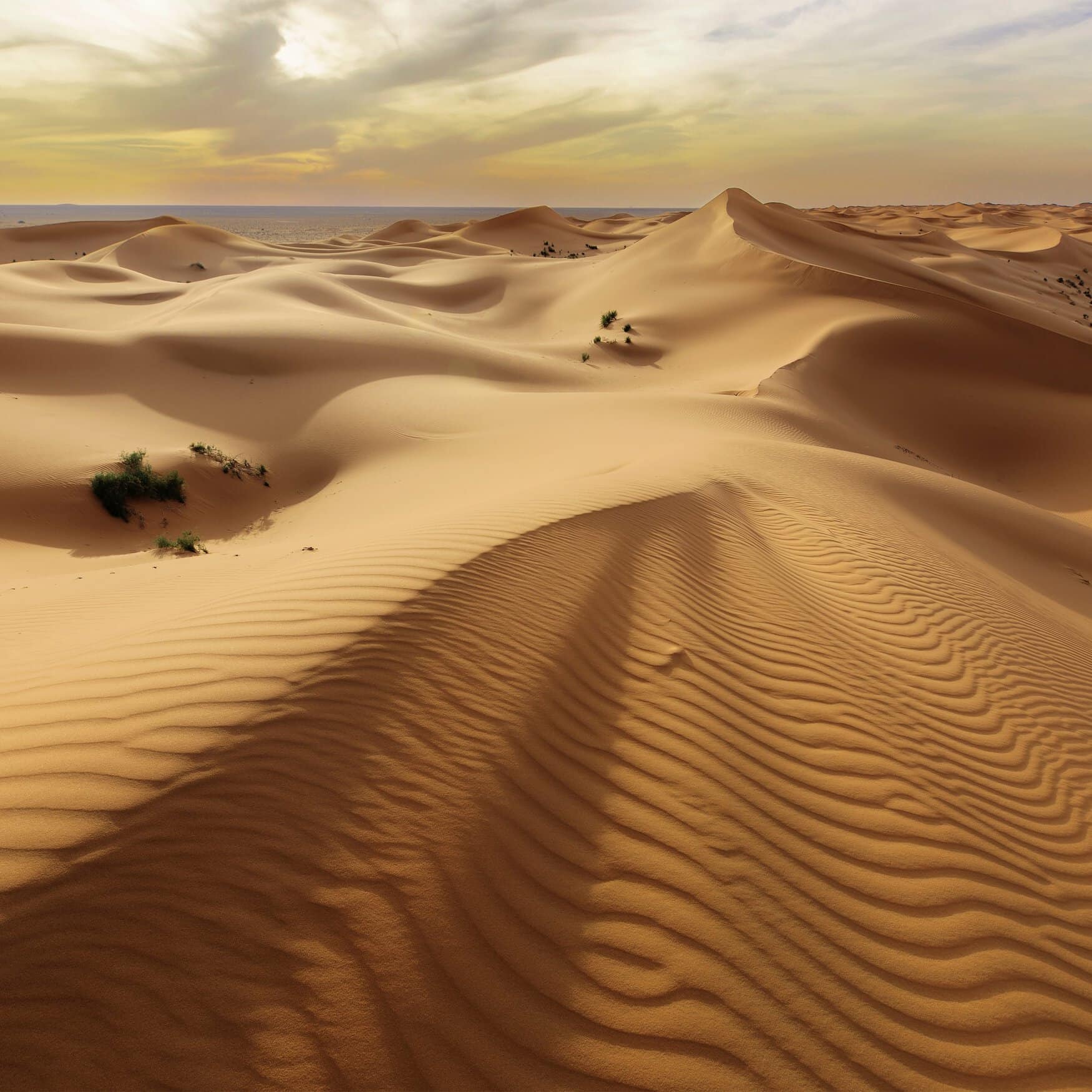 Saudi Investment Recycling Company collaborates with Edama on organic waste and desert farming