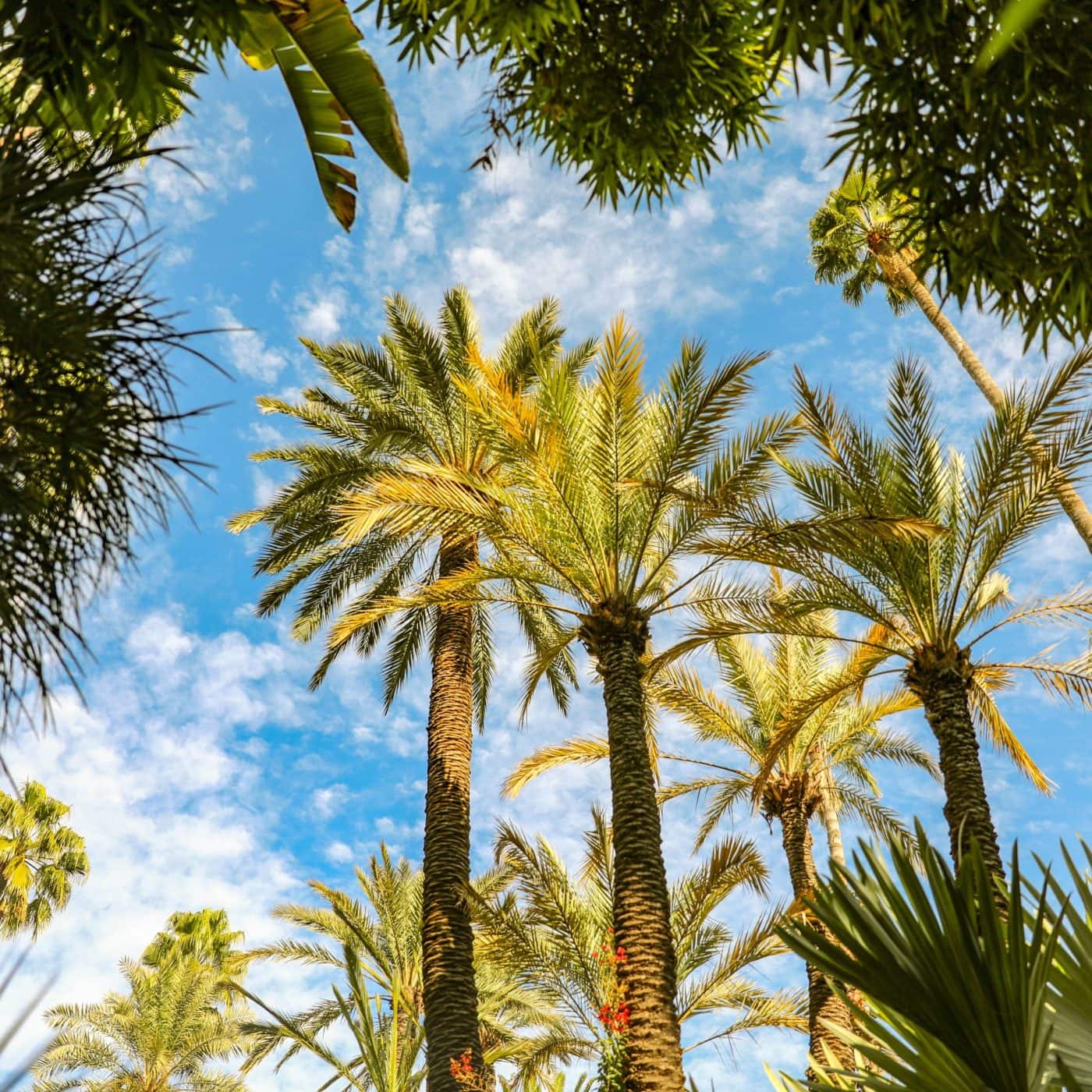 Morocco’s OCP Group receives €100mn green loan from the IFC