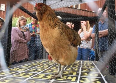 Chicken Poop Bingo: a unique fundraiser for Tucson Village Farm