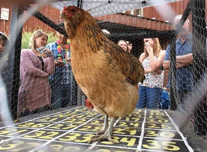Chicken Poop Bingo: a unique fundraiser for Tucson Village Farm
