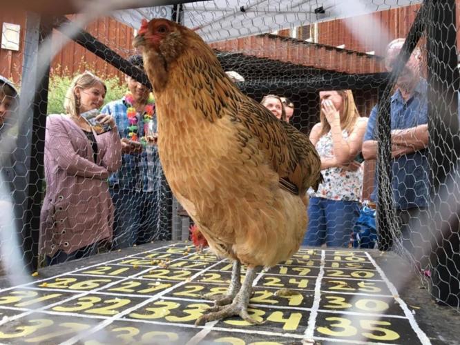Chicken Poop Bingo: a unique fundraiser for Tucson Village Farm