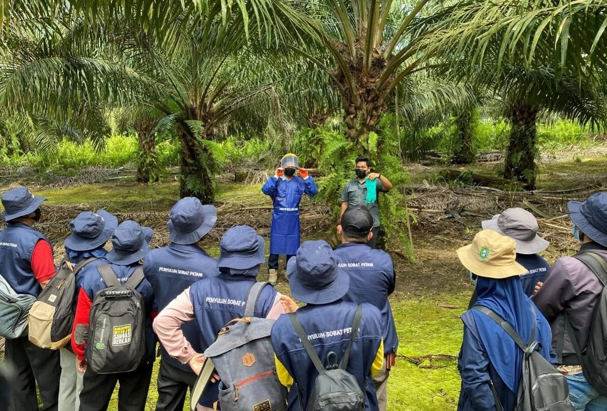 Bunge and Musim Mas join forces to enhance sustainability in palm oil production