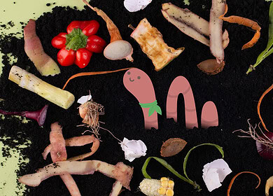 Port of San Diego says composting will help keeping food waste out of San Diego Bay