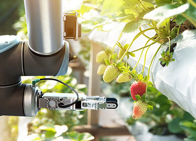 Harnessing technology in farming: Single Board Computers in precision agriculture