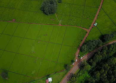 Kenyan climate-tech startup Amini raises $4mn in seed funding