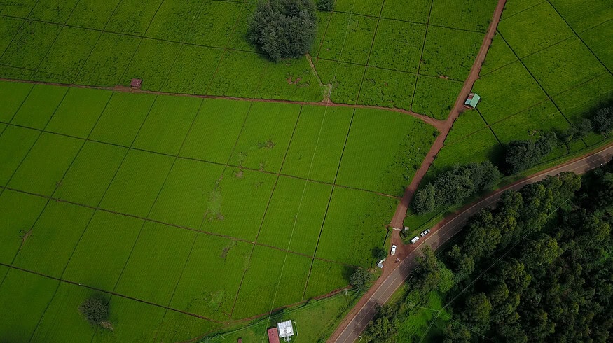 Kenyan climate-tech startup Amini raises $4mn in seed funding