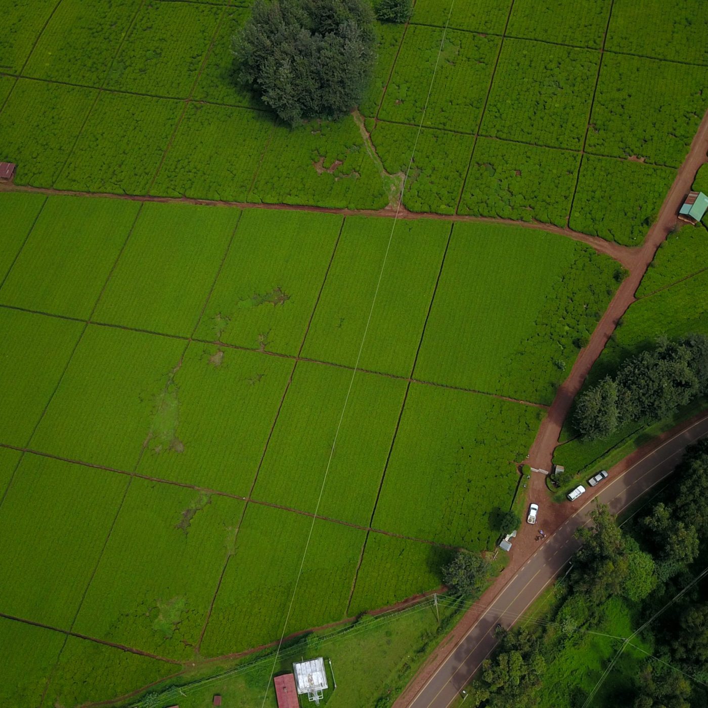 Kenyan climate-tech startup Amini raises $4mn in seed funding