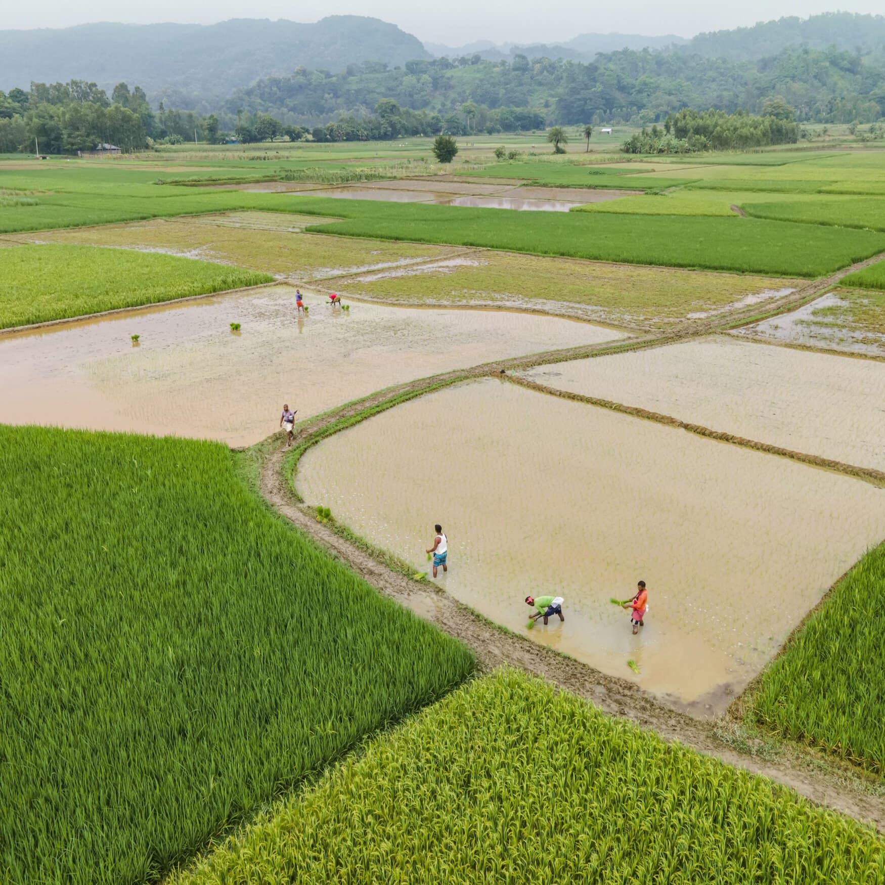 Bangladesh calls for bids with a tender for 10,000 MT of phosphoric acid