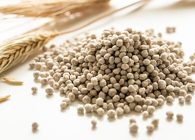 Russian farmers to significantly increase fertilizer purchases by 2030