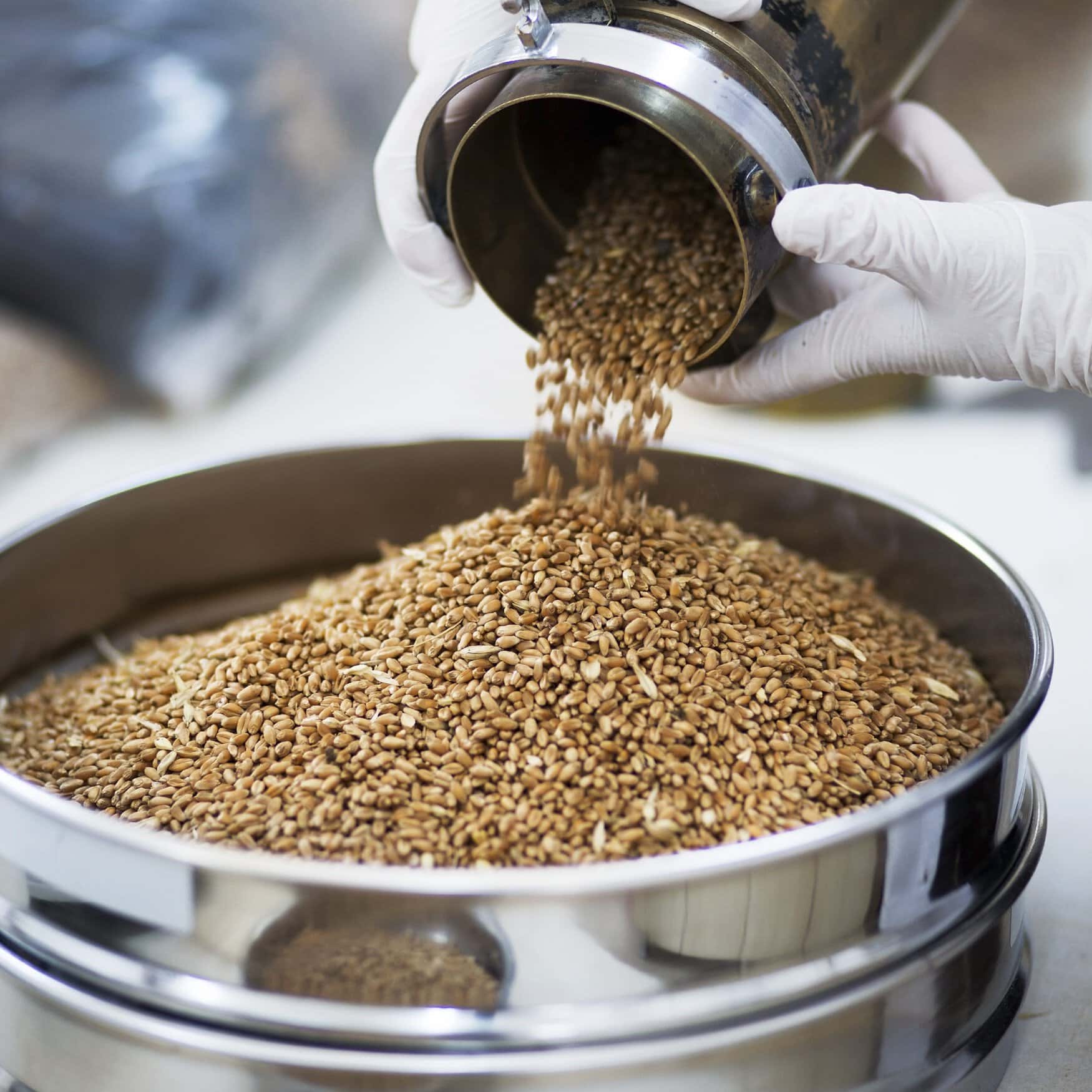 Southern Alberta scientist advocates for carbon tax exemption on farm grain drying