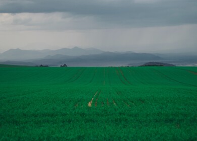 African Development Bank seeks to improve Kenyan farmers’ access to fertilizers