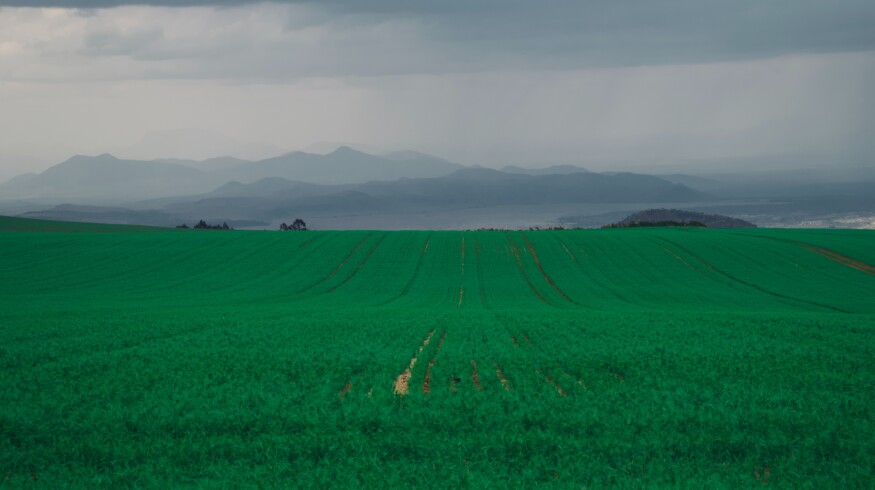 African Development Bank seeks to improve Kenyan farmers’ access to fertilizers