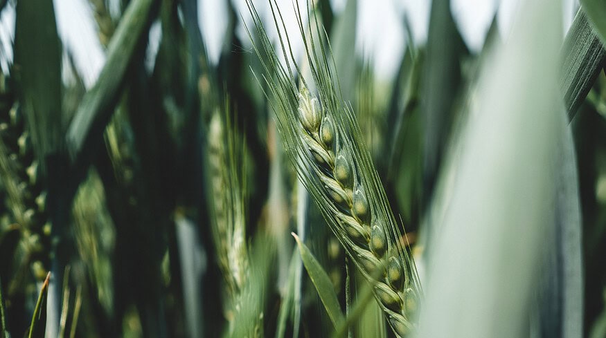 Cargill details ESG progress in 2023 report