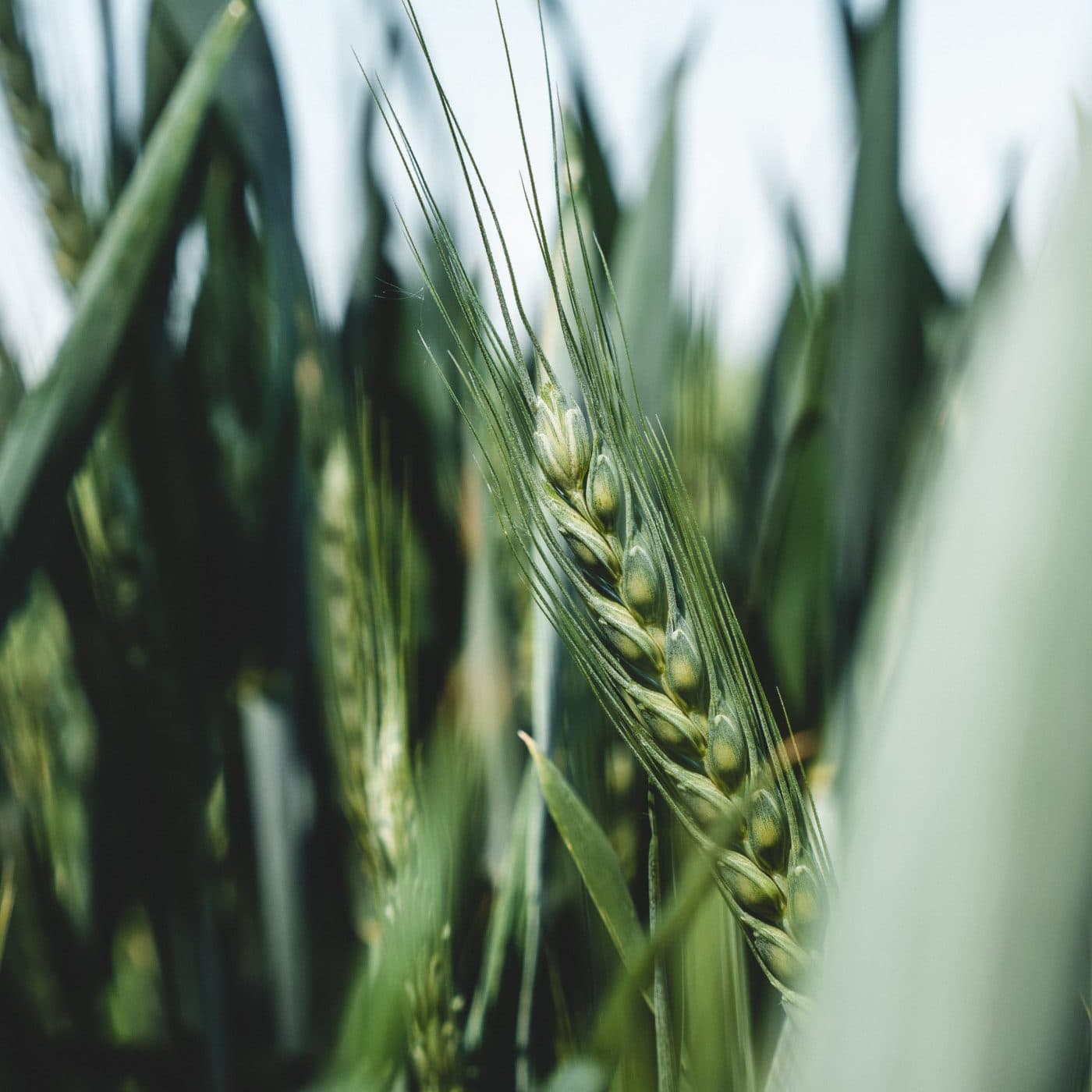 Cargill details ESG progress in 2023 report