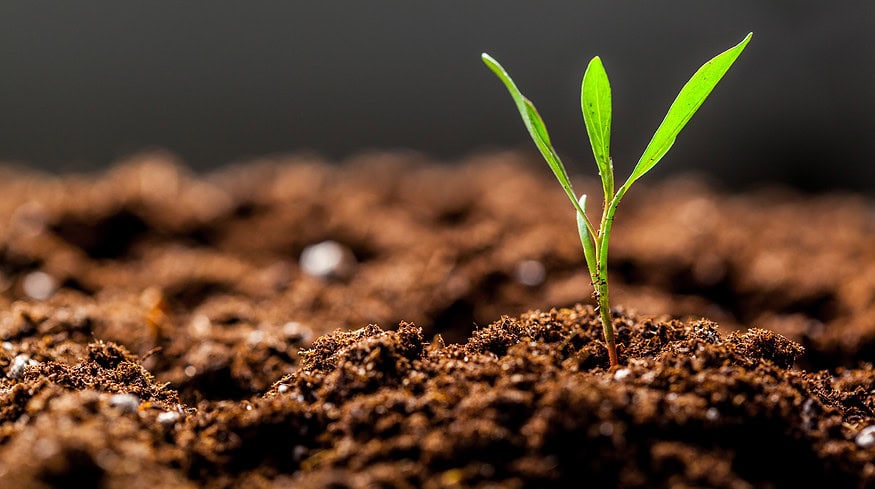 Bioceres Crop Solutions announces strong Q1 2024 financials