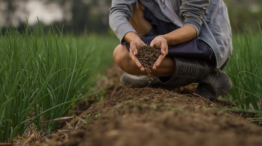 Vietnam’s commune champions innovative organic composting