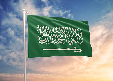 Saudi Arabia’s fertilizer market projected to reach $924.35bn by 2028