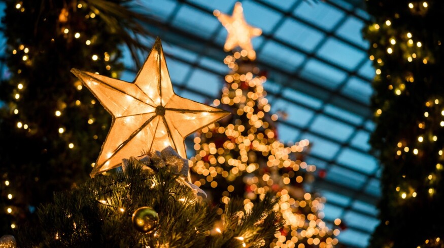 Economic and environmental challenges impacting US Christmas tree industry