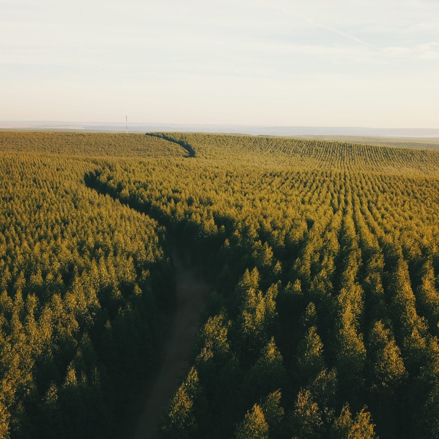 Brazil sets monthly record for fertilizer deliveries