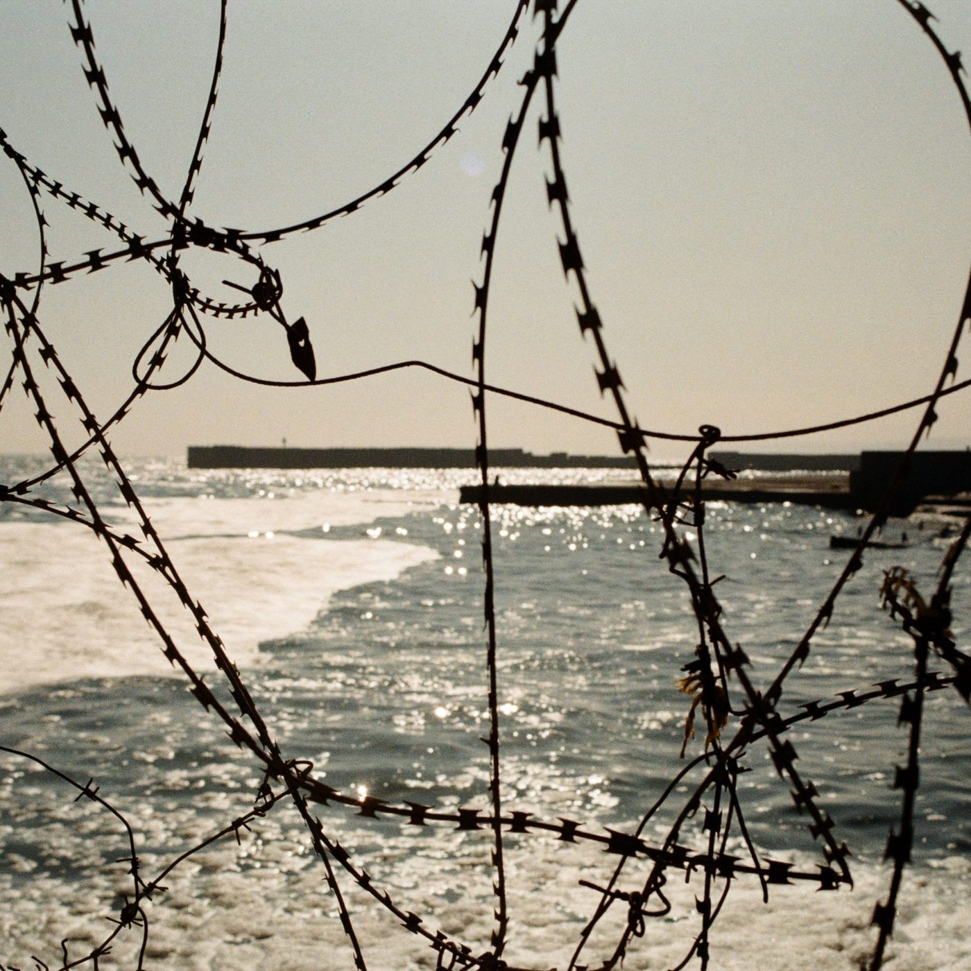 Russia targets Ukrainian port infrastructure as WFP warns of wheat shortages