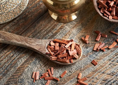 Innovations in red sandalwood cultivation poised to boost exports