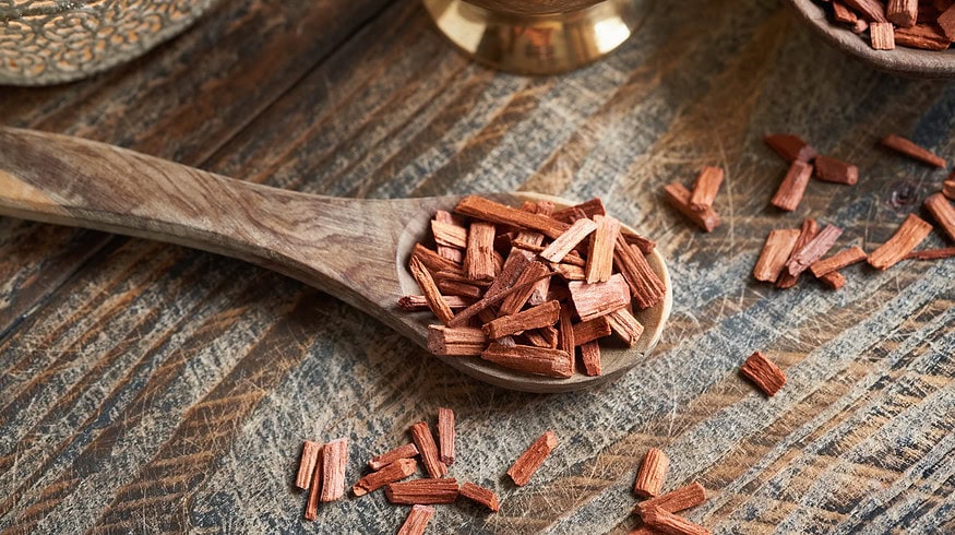 Innovations in red sandalwood cultivation poised to boost exports