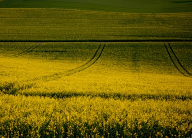 French startup developing urine-based plant biostimulant secures €8.4mn