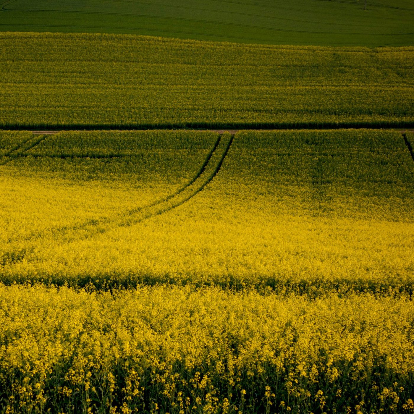 French startup developing urine-based plant biostimulant secures €8.4mn