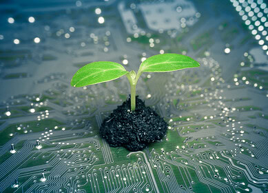 Revolutionizing fertilizer production: Green Ammonia’s rise