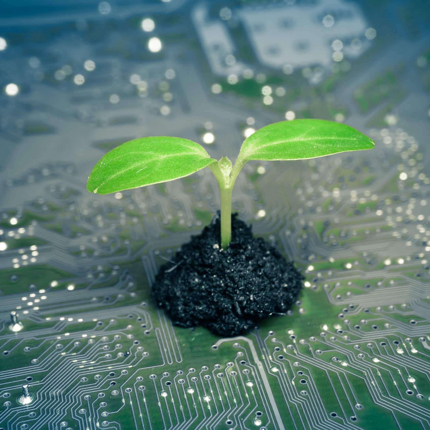 Revolutionizing fertilizer production: Green Ammonia’s rise