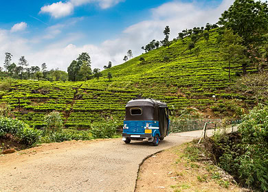 Sri Lanka government considers halving MOP fertilizer prices