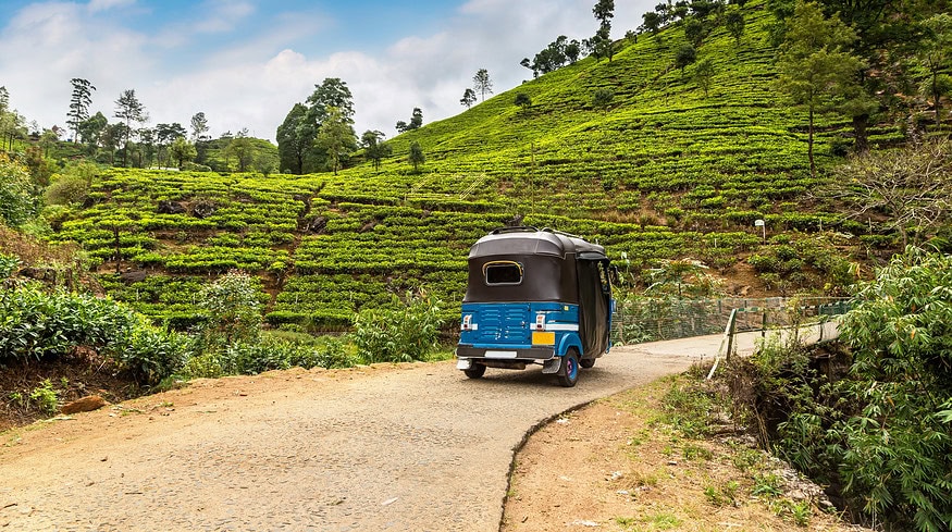 Sri Lanka government considers halving MOP fertilizer prices