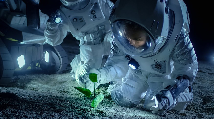 Microbial agriculture: paving the way for lunar farming