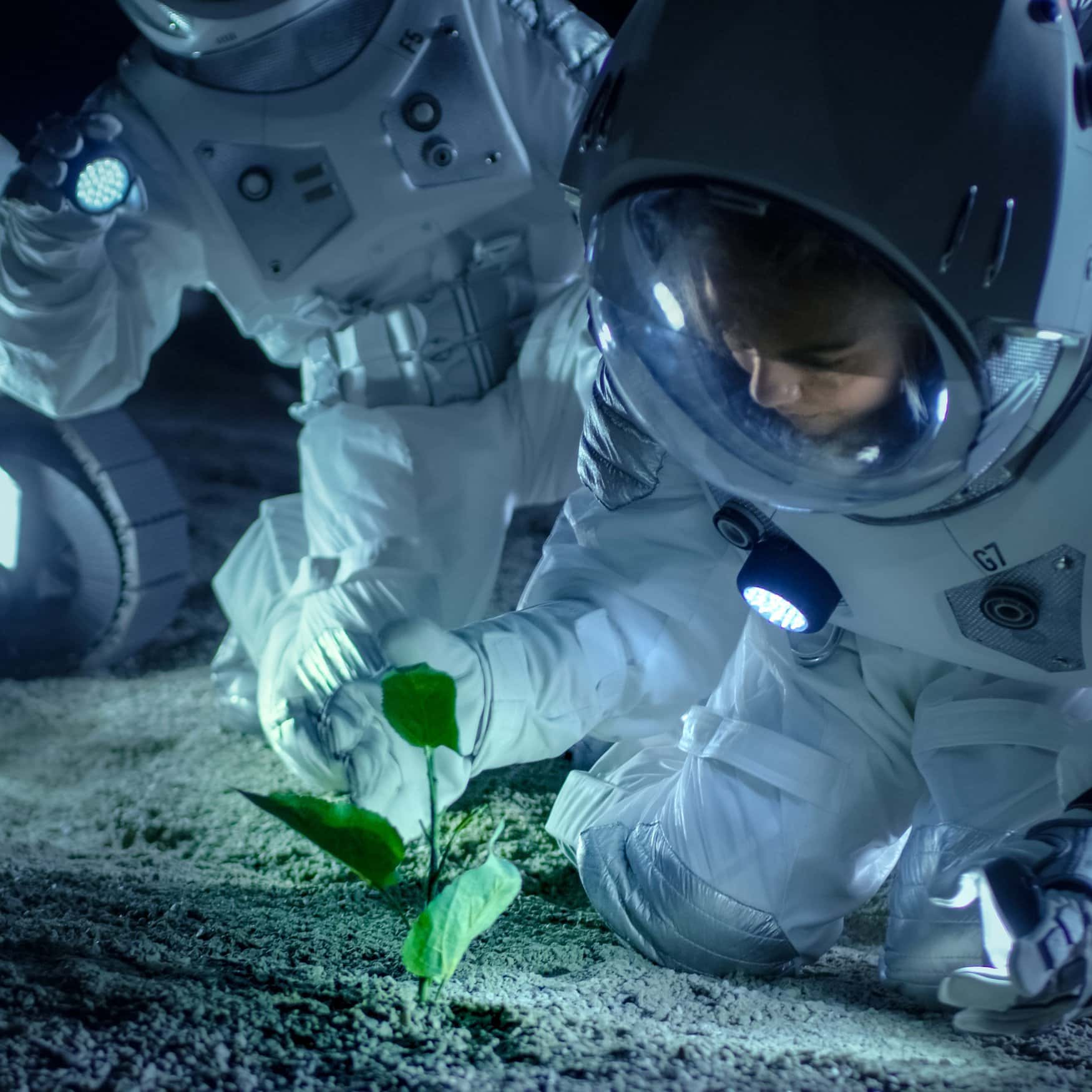 Microbial agriculture: paving the way for lunar farming