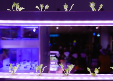 Enterprise Aquatics integrates aquaponics into traditional farming