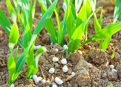 Rwanda inaugurates fertilizer blending plant