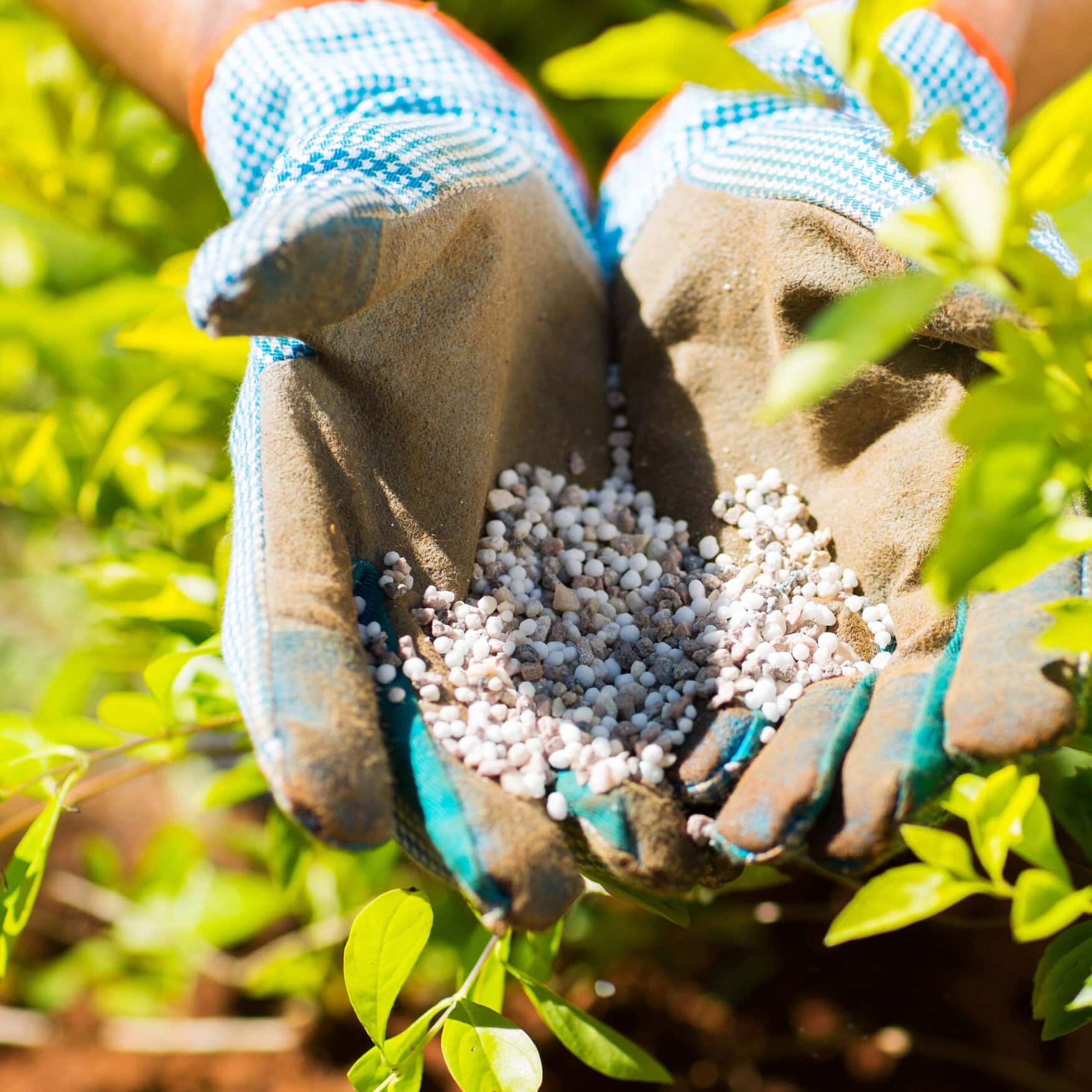 Kenya’s Fertilizer Subsidy Program supports farmers amidst economic challenges