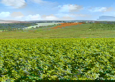 Japan to support Moldovan farmers with €1.9mn grant