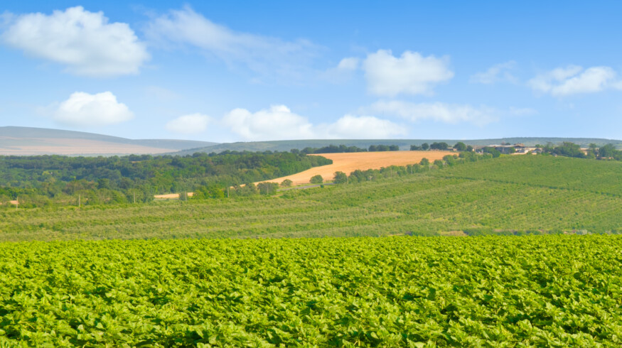 Japan to support Moldovan farmers with €1.9mn grant