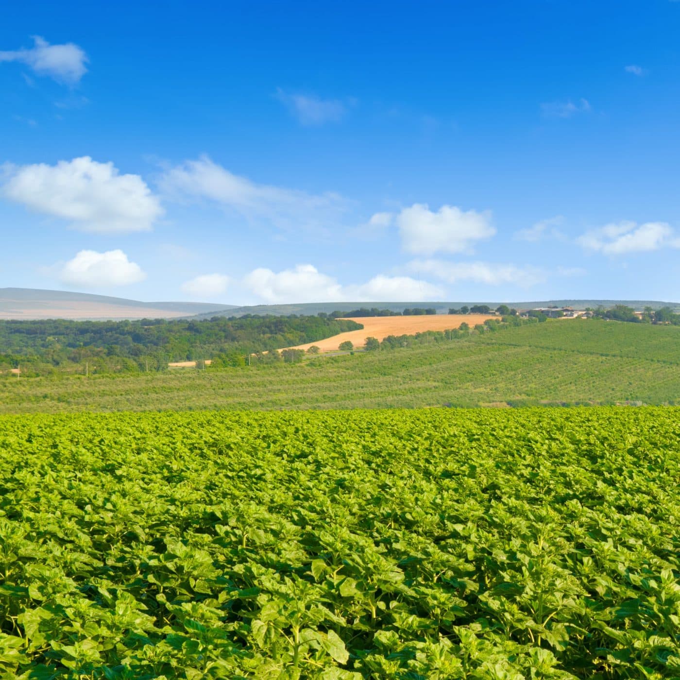 Japan to support Moldovan farmers with €1.9mn grant