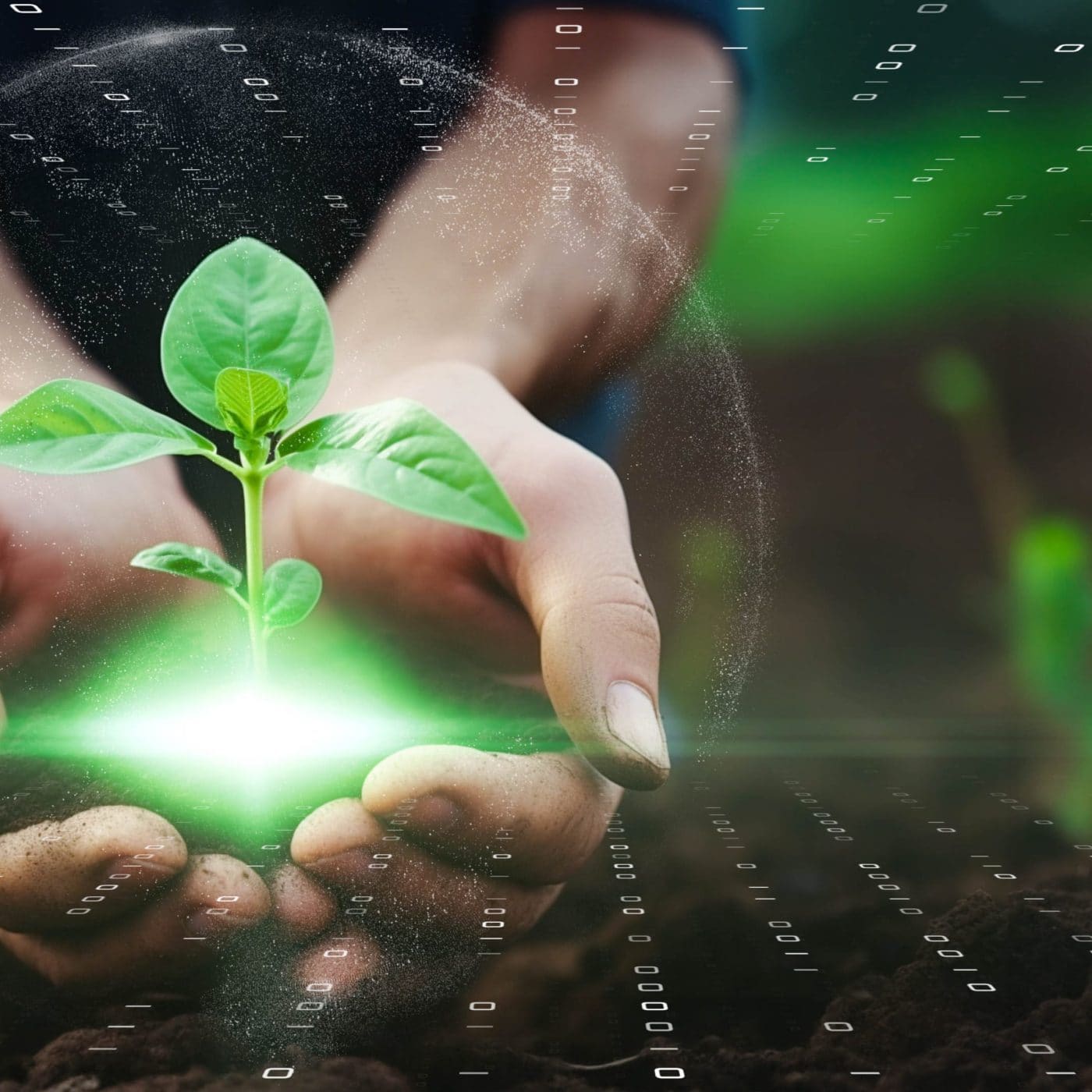 ICL Growing Solutions partners with AI startup Agrematch