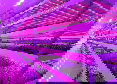 ReFarm to build vertical ‘gigafarm’ in Dubai