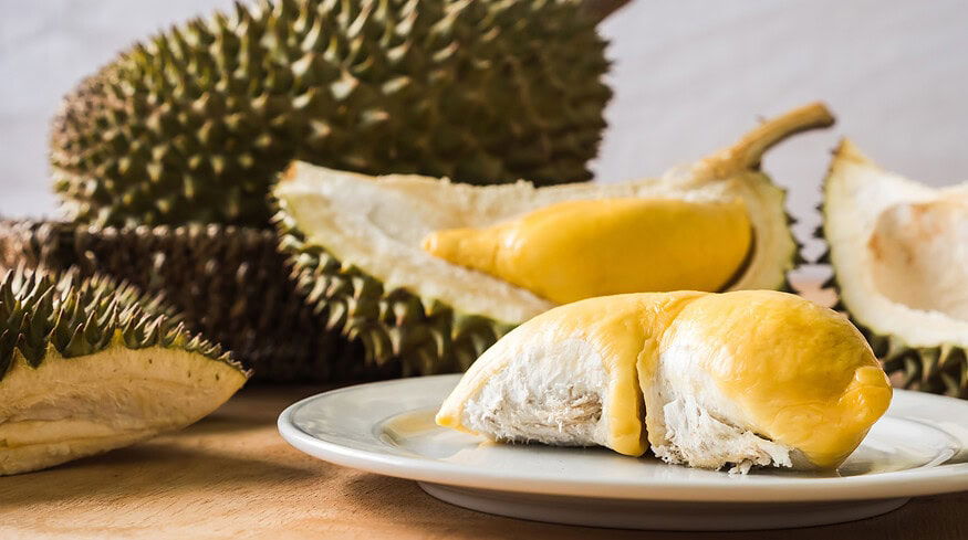 Vietnamese farmers use innovation in durian farming