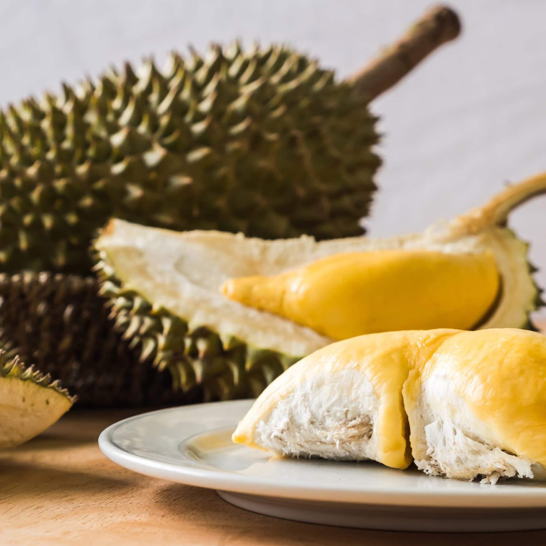 Vietnamese farmers use innovation in durian farming