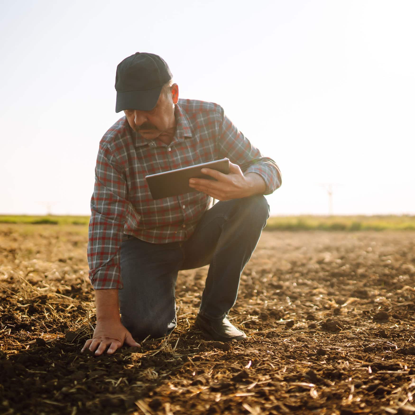 Mosaic launched K-Mag trials for enhanced cotton yields in US