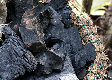 Nigeria and Indonesia plan to build coal-fertilizer plant in Abuja