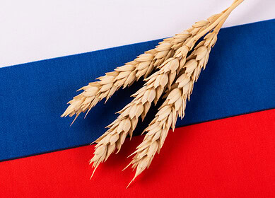Somalia receives free grain shipment from Russia