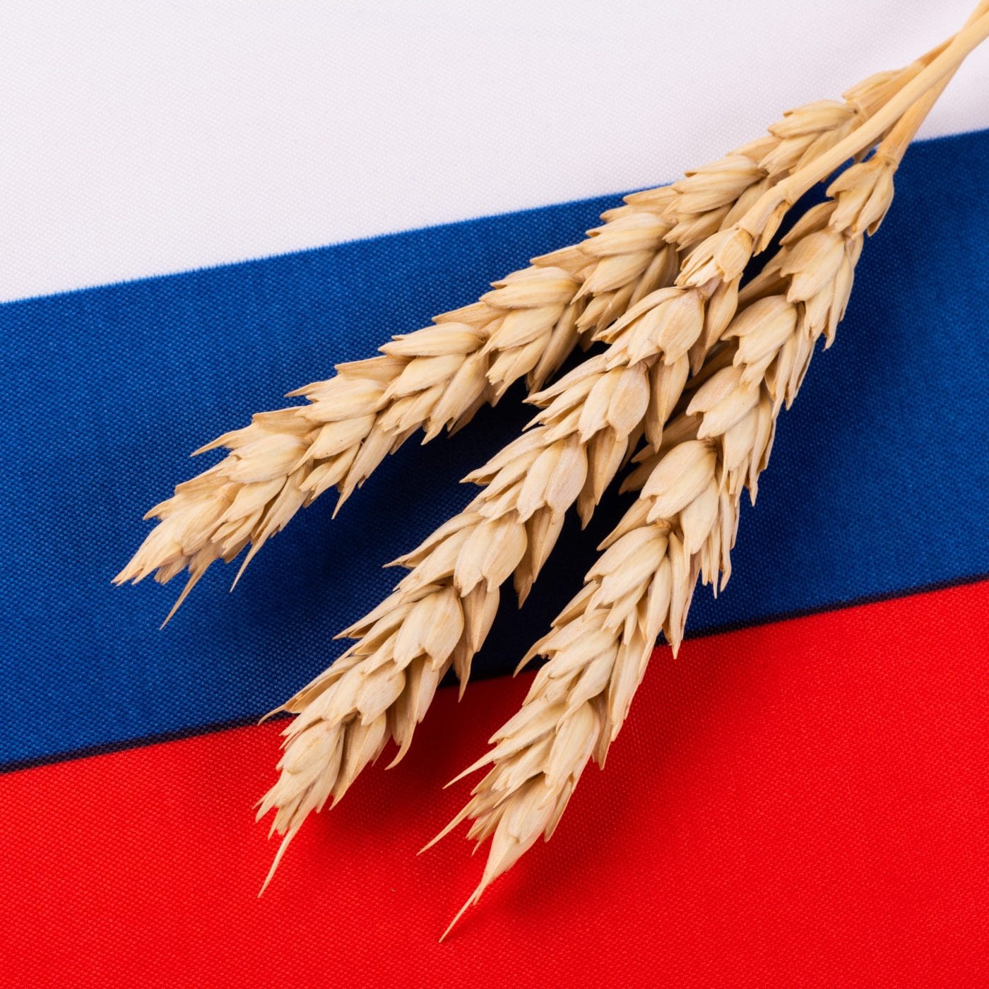 Somalia receives free grain shipment from Russia